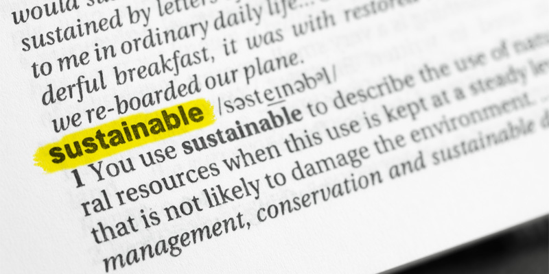 Sustainability terms explained blog thumbnail